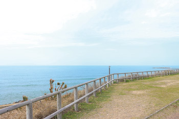 青山海浜公園
