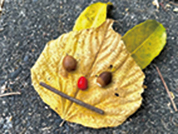 さかたん　秋を探しに