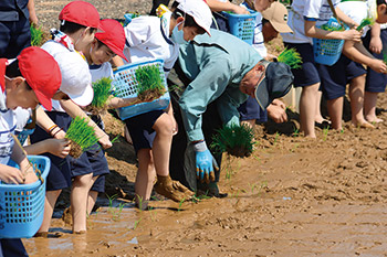 笠木小学校児童の田植え風景