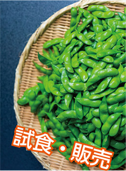 枝豆試食・販売