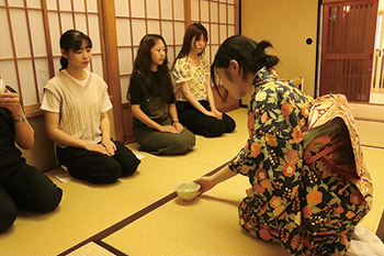 市民呈茶の楽しみ方