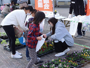 来場者へ花苗プレゼント