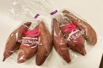 焼き芋・生芋販売