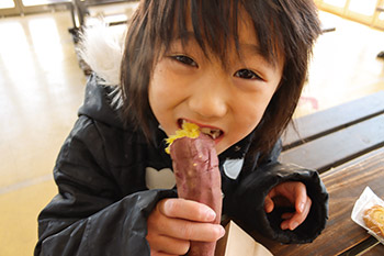 メ焼き芋・生芋販売