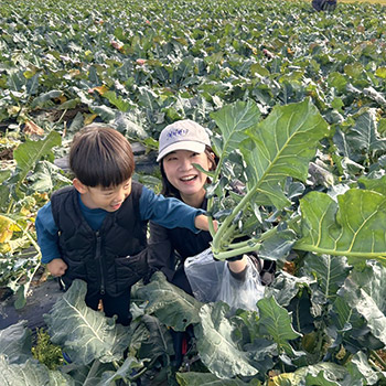 親子農業体験の様子