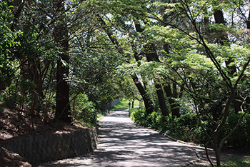 寺尾中央公園