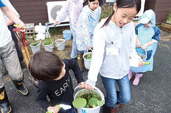 ハスから学ぶ佐潟