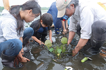 ハスから学ぶ佐潟