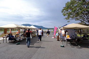 発酵ふぇす