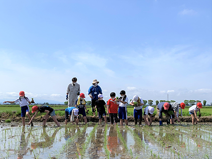 潟東小学校の生徒が水が貼られた田んぼで田植えをしている写真
