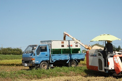 漆山小学校の事業の写真　コンバインからトラックに収穫した米を移す様子が写っている