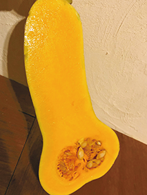 バターナッツかぼちゃ断面の写真　中身はほかのカボチャと同じでおいしそうな黄色をしている