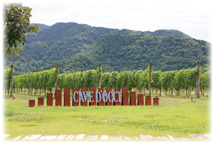 カーブドッチ看板の写真