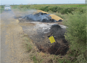 野焼きの写真