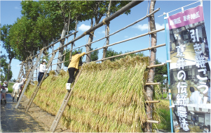 はざかけの写真