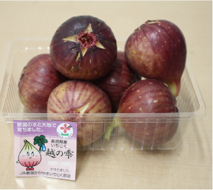 区内で栽培された「越の雫」の写真