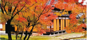 紅葉している澤将監の館の庭園