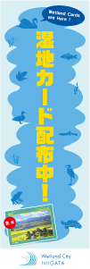 目印ののぼり
