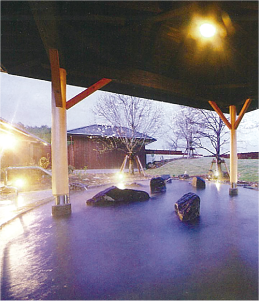 カーブドッチ ヴィネスパの写真