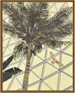 山下紀枝子さんの作品