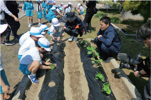 「なないろ野菜」を植えている写真
