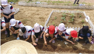 野菜畑で活動をしている様子