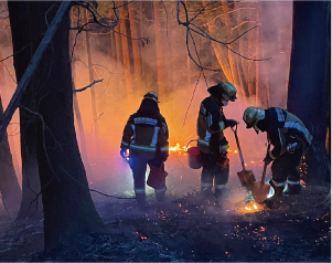 山林火災の様子