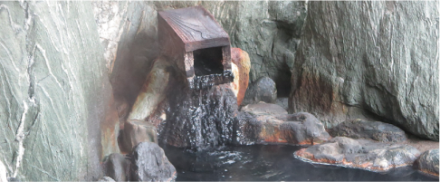 岩室温泉黒湯の写真