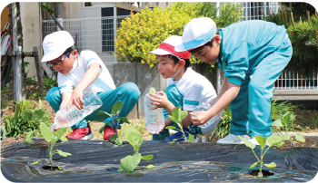 巻北小学校2年生が学校敷地内に白なすや紫色に育つミニトマトなど「にしかん なないろ野菜」を含む野菜の苗を植える様子