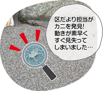田ノ浦海水浴場の写真