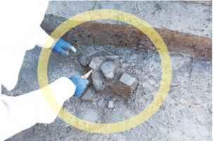 遺跡発掘の様子