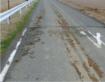 道路や歩道に落ちた泥
