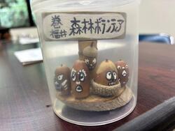 木工ワークショップの写真