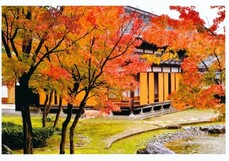 澤将監の館紅葉画像