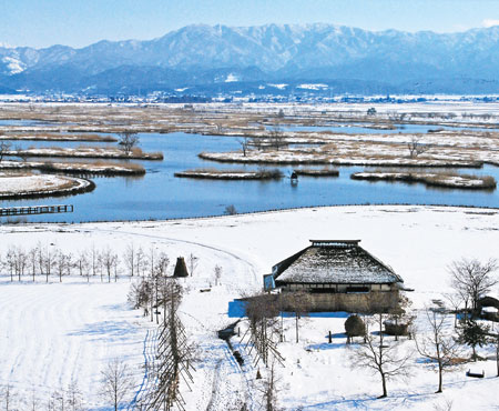 写真　雪景色の福島潟