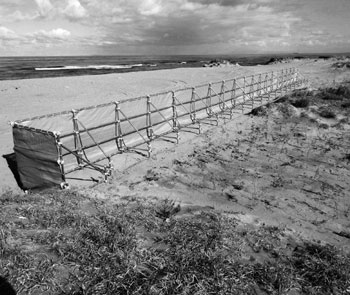 写真　松浜海岸に設置された飛砂防止ネット