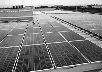 写真　再生可能エネルギー発電事業として中央卸売市場に設置されているソーラーパネル