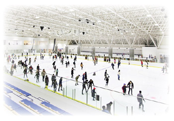 写真　新潟市体育施設条例の一部改正