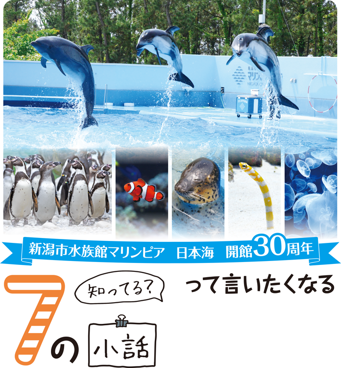 新潟市水族館マリンピア日本海　開館30周年 知ってる？　って言いたくなる7の小話