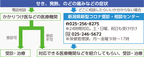 せき、発熱、のどの痛みなどの症状