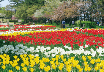 寺尾中央公園