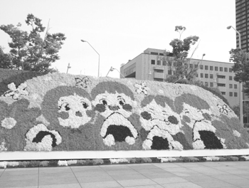 新潟駅南口中央広場　にいがた花絵プロジェクト