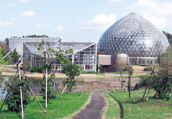 県立植物園の観賞温室は熱帯植物や水草などが展示されている