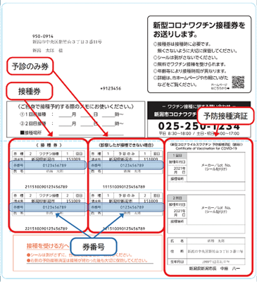 ※画像は1回目・2回目の接種券です