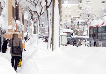 大雪時の様子