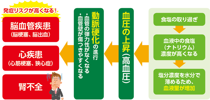 食塩の取り過ぎによる病気のリスクの図