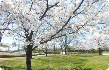 濁川公園