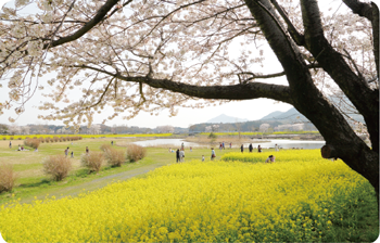 上堰潟公園