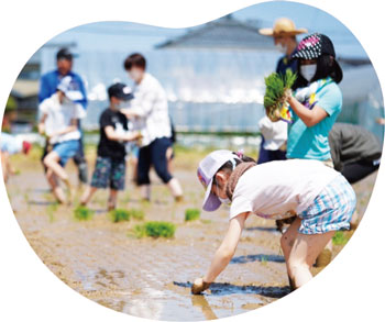 田植え体験