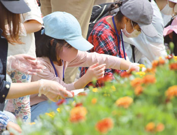 新潟駅南口広場での花の植え込み